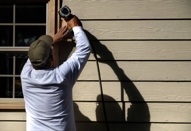 Best Storm Damage Siding Repair  in Preston, MN